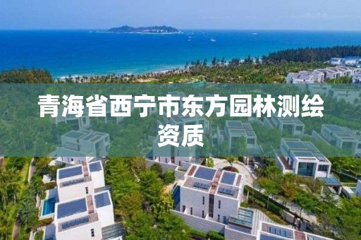 青海省西宁市东方园林测绘资质