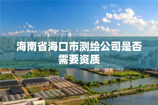 海南省海口市测绘公司是否需要资质