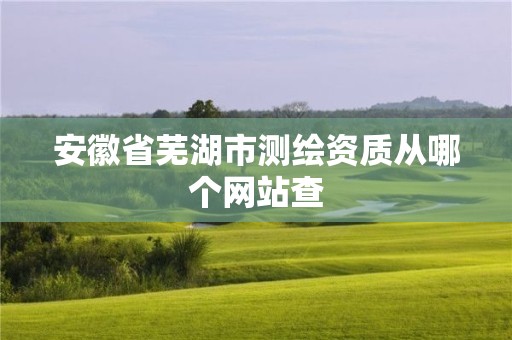 安徽省芜湖市测绘资质从哪个网站查