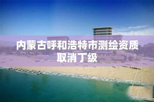 内蒙古呼和浩特市测绘资质取消丁级