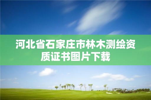 河北省石家庄市林木测绘资质证书图片下载