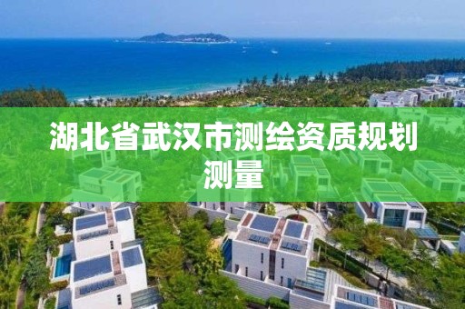 湖北省武汉市测绘资质规划测量