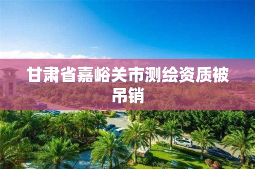 甘肃省嘉峪关市测绘资质被吊销