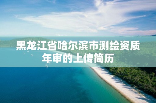 黑龙江省哈尔滨市测绘资质年审的上传简历