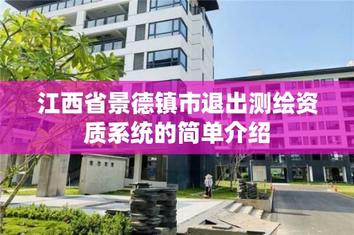 江西省景德镇市退出测绘资质系统的简单介绍