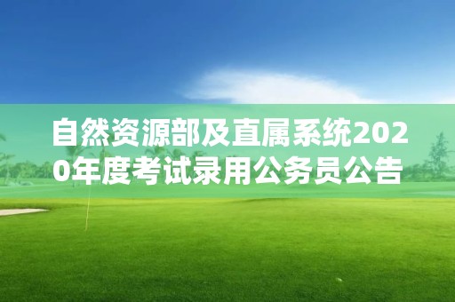 自然资源部及直属系统2020年度考试录用公务员公告