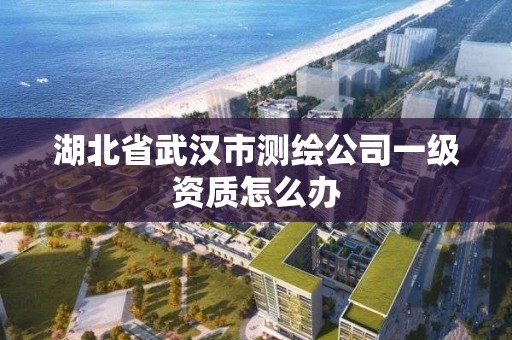 湖北省武汉市测绘公司一级资质怎么办