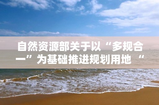 自然资源部关于以“多规合一”为基础推进规划用地 “多审合一、多证合一”改革的通知