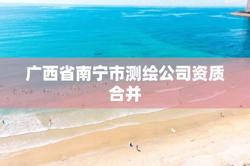 广西省南宁市测绘公司资质合并