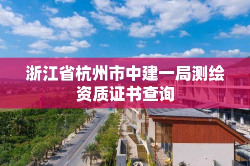 浙江省杭州市中建一局测绘资质证书查询