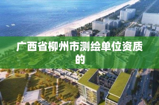 广西省柳州市测绘单位资质的