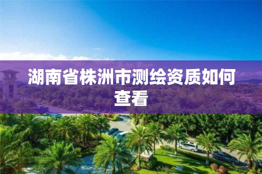 湖南省株洲市测绘资质如何查看