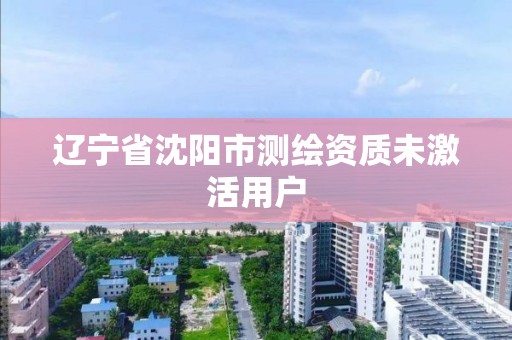 辽宁省沈阳市测绘资质未激活用户