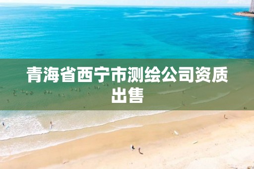 青海省西宁市测绘公司资质出售