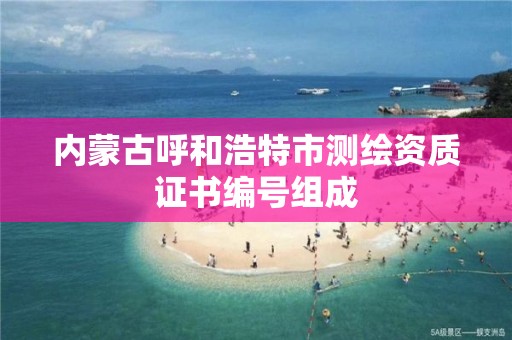 内蒙古呼和浩特市测绘资质证书编号组成