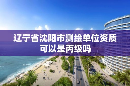 辽宁省沈阳市测绘单位资质可以是丙级吗