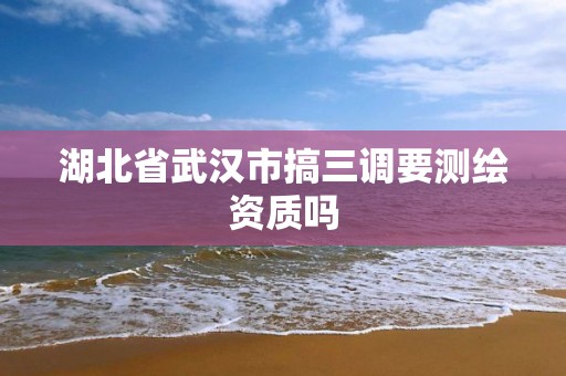 湖北省武汉市搞三调要测绘资质吗