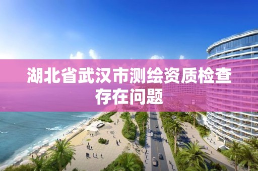 湖北省武汉市测绘资质检查存在问题