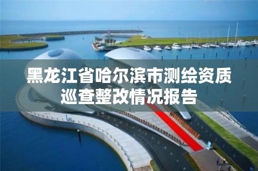 黑龙江省哈尔滨市测绘资质巡查整改情况报告