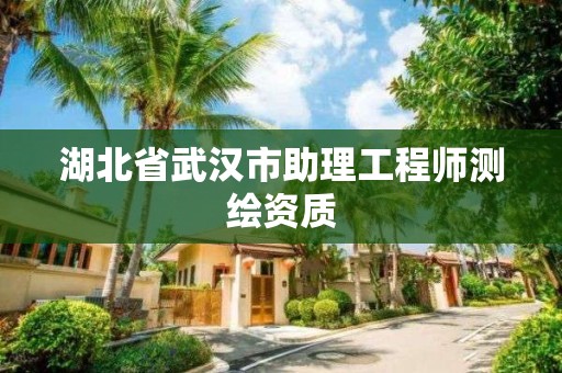 湖北省武汉市助理工程师测绘资质