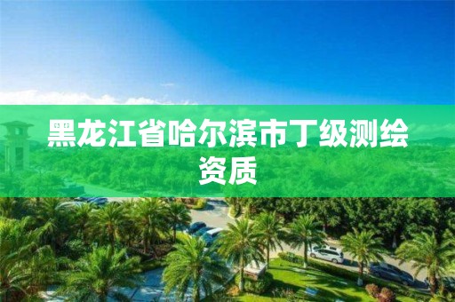 黑龙江省哈尔滨市丁级测绘资质