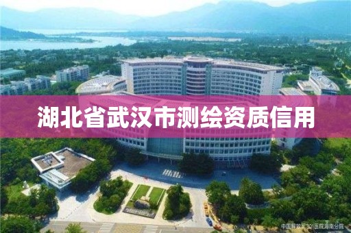 湖北省武汉市测绘资质信用