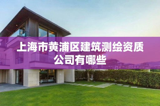 上海市黄浦区建筑测绘资质公司有哪些