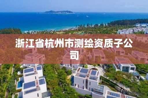 浙江省杭州市测绘资质子公司