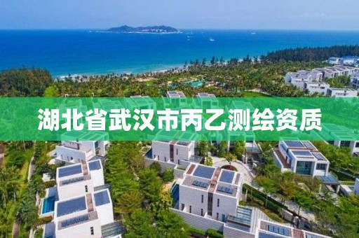 湖北省武汉市丙乙测绘资质