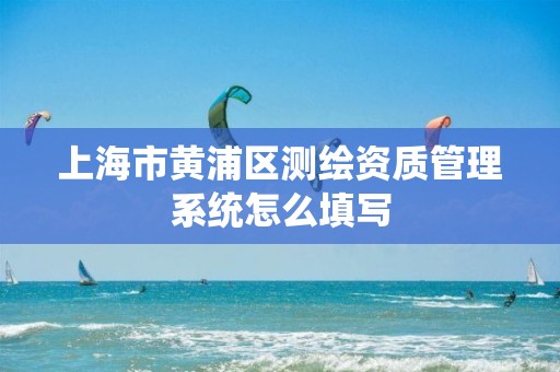 上海市黄浦区测绘资质管理系统怎么填写