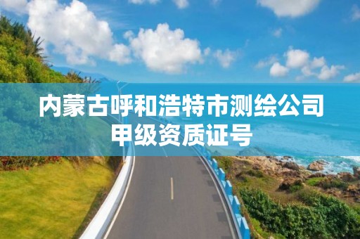 内蒙古呼和浩特市测绘公司甲级资质证号