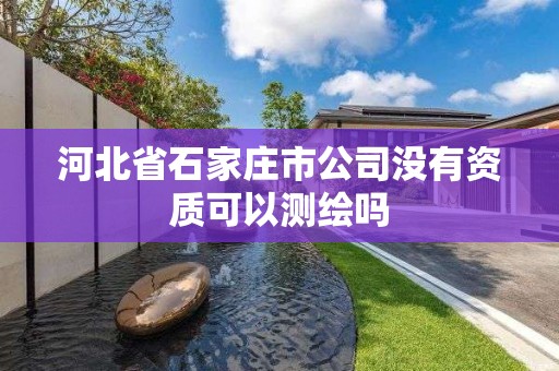 河北省石家庄市公司没有资质可以测绘吗