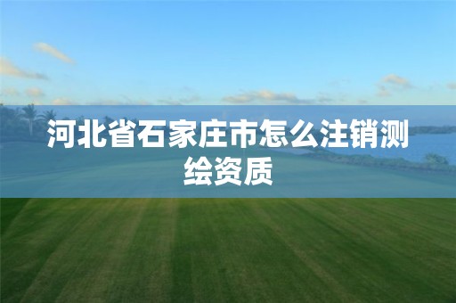 河北省石家庄市怎么注销测绘资质