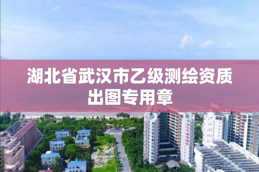 湖北省武汉市乙级测绘资质出图专用章