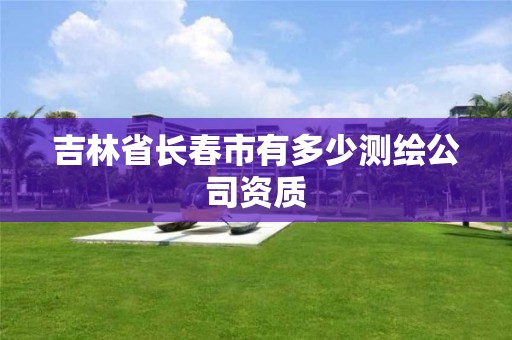 吉林省长春市有多少测绘公司资质