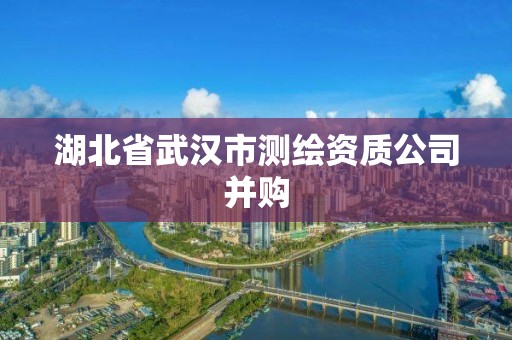 湖北省武汉市测绘资质公司并购