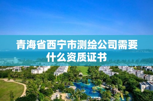 青海省西宁市测绘公司需要什么资质证书