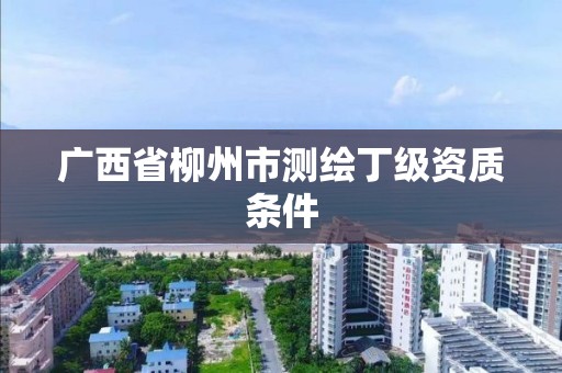 广西省柳州市测绘丁级资质条件