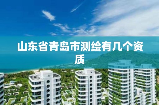 山东省青岛市测绘有几个资质