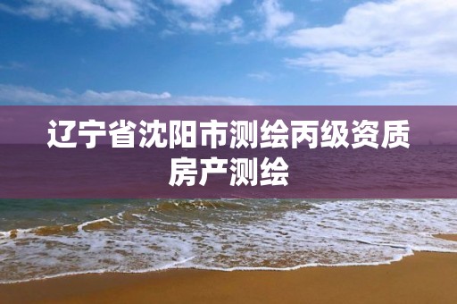 辽宁省沈阳市测绘丙级资质房产测绘