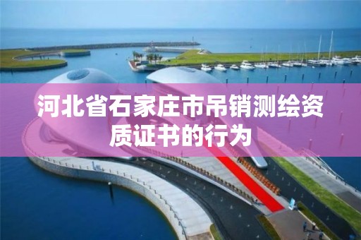 河北省石家庄市吊销测绘资质证书的行为