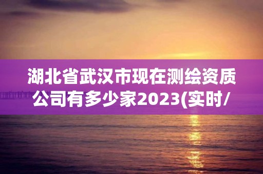 湖北省武汉市现在测绘资质公司有多少家2023(实时/更新中)