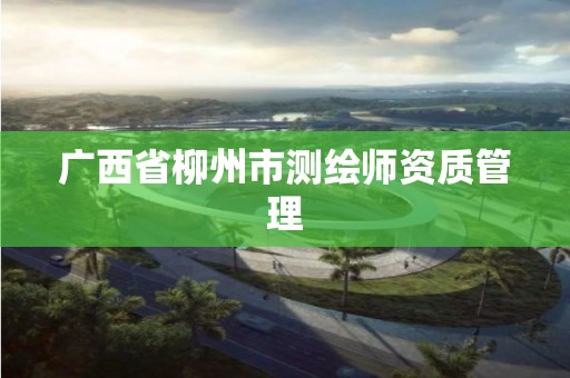 广西省柳州市测绘师资质管理