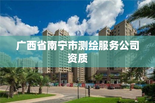 广西省南宁市测绘服务公司资质