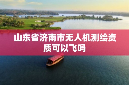 山东省济南市无人机测绘资质可以飞吗