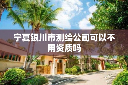 宁夏银川市测绘公司可以不用资质吗