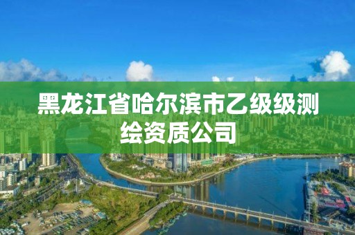 黑龙江省哈尔滨市乙级级测绘资质公司