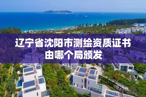 辽宁省沈阳市测绘资质证书由哪个局颁发