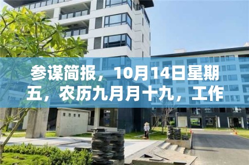 参谋简报，10月14日星期五，农历九月月十九，工作愉快，平安喜乐