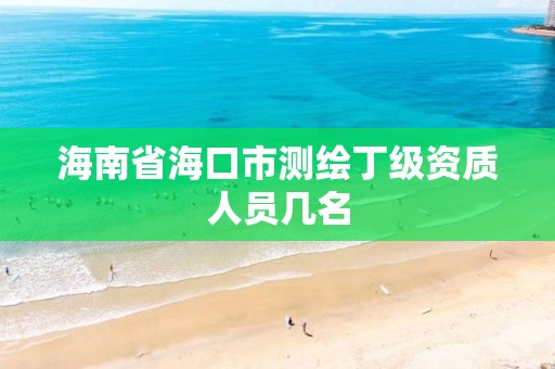 海南省海口市测绘丁级资质人员几名